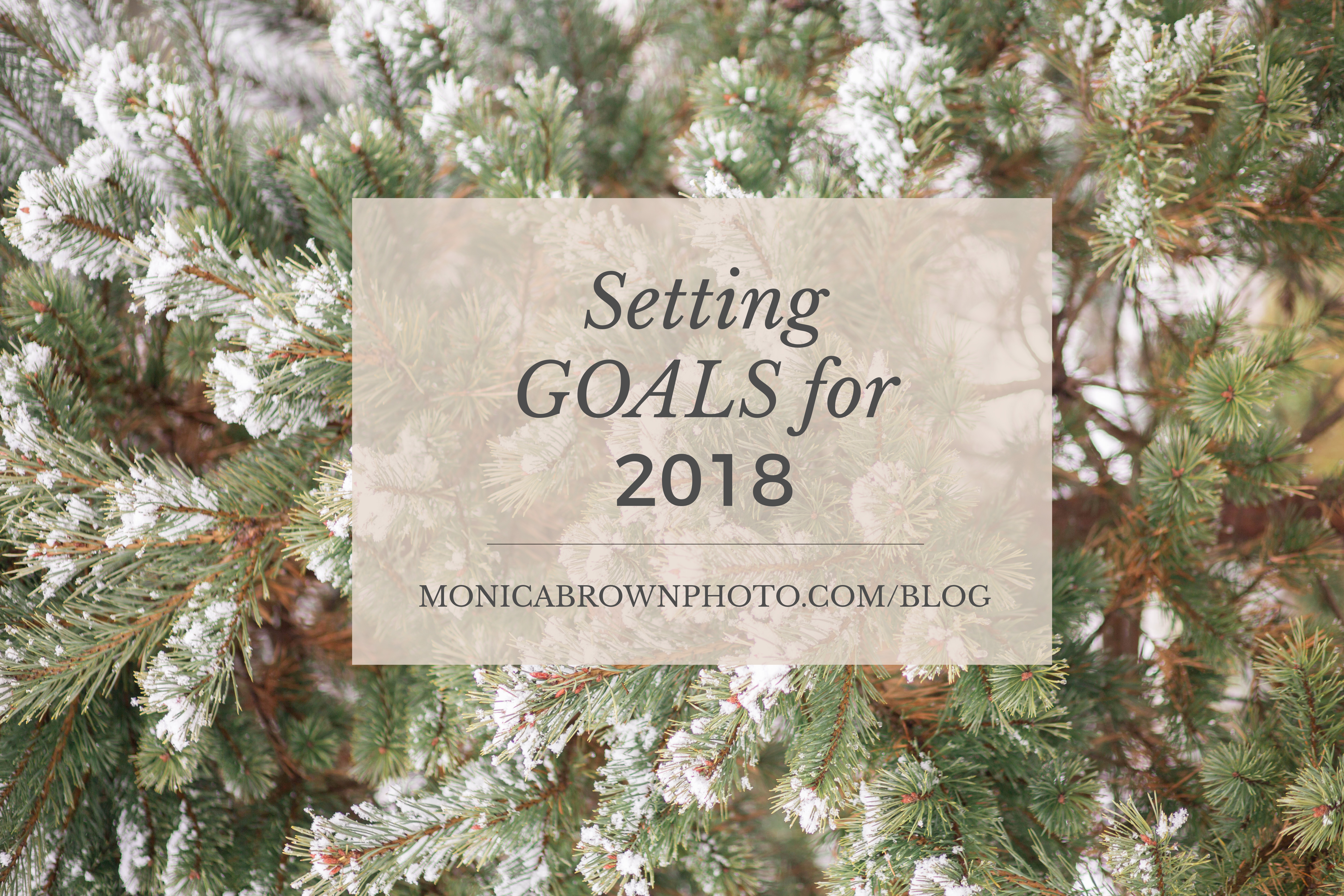 Setting 2018 Goals | Monica Brown Photography | monicabrownphoto.com