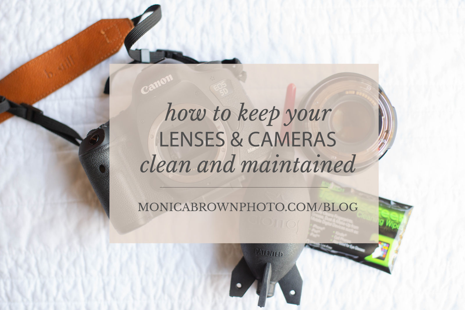 How To Clean Your Camera Body And Lenses | Monica Brown Photography